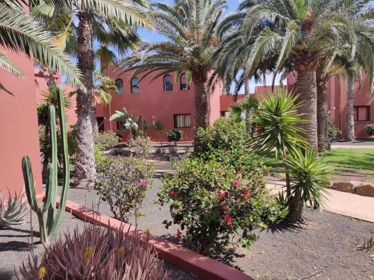 Oasis Tamarindo Poppins Pool E Terrace Leilighet Corralejo Eksteriør bilde