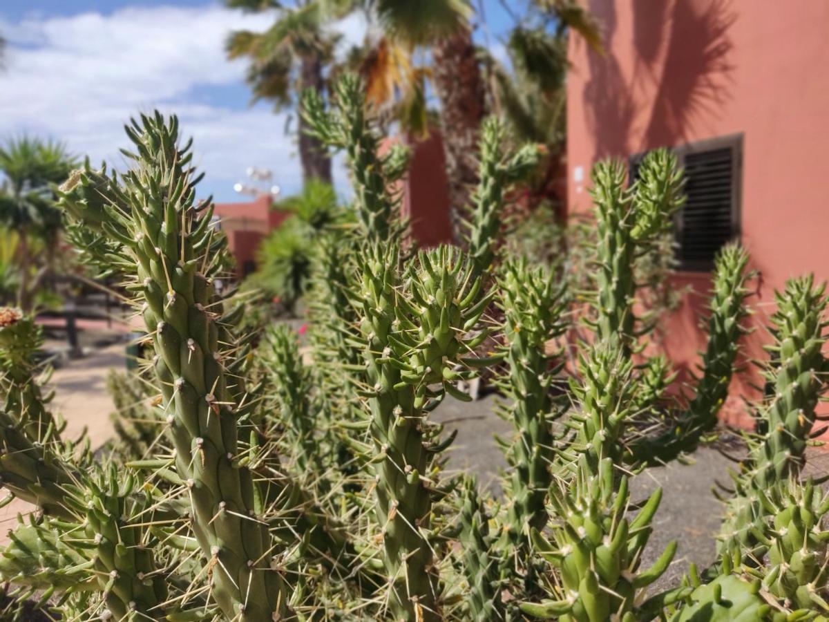 Oasis Tamarindo Poppins Pool E Terrace Leilighet Corralejo Eksteriør bilde