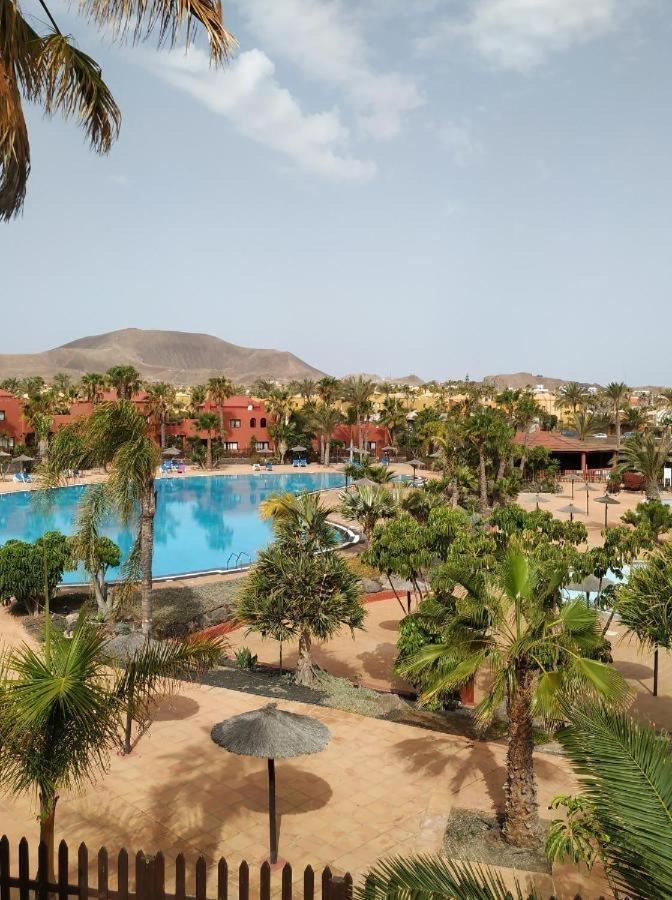 Oasis Tamarindo Poppins Pool E Terrace Leilighet Corralejo Eksteriør bilde